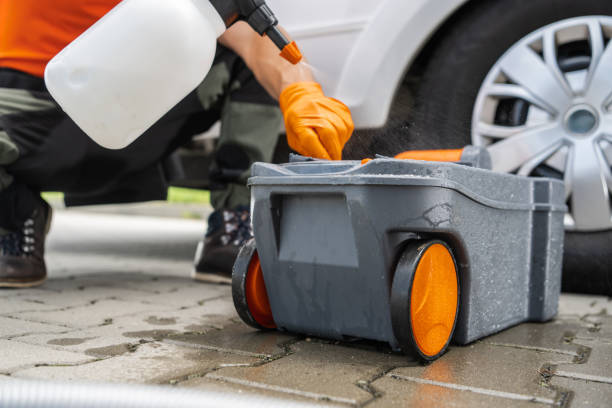 Reliable Riverside, IL Tree Removal Solutions